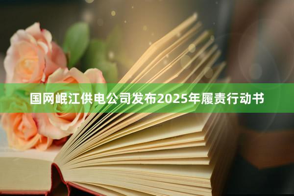 国网岷江供电公司发布2025年履责行动书