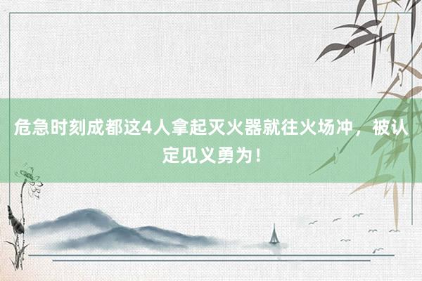 危急时刻成都这4人拿起灭火器就往火场冲，被认定见义勇为！