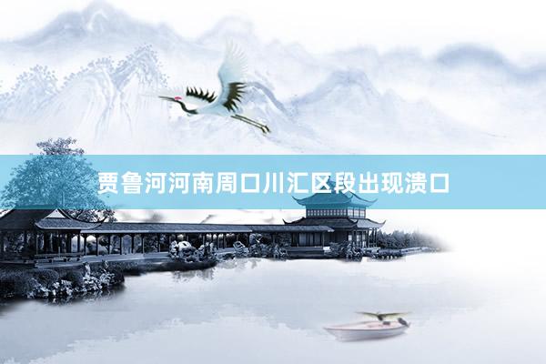 贾鲁河河南周口川汇区段出现溃口