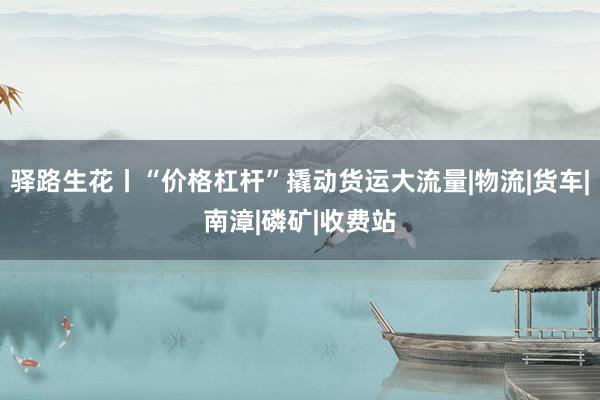 驿路生花丨“价格杠杆”撬动货运大流量|物流|货车|南漳|磷矿|收费站