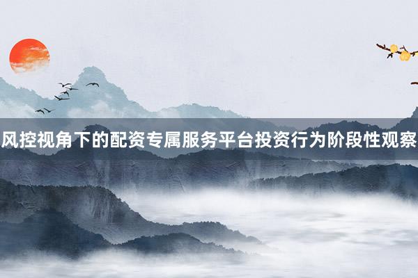 风控视角下的配资专属服务平台投资行为阶段性观察