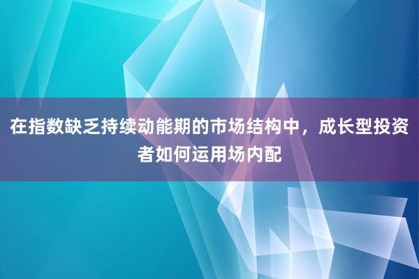 在指数缺乏持续动能期的市场结构中，成长型投资者如何运用场内配