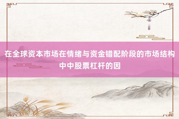 在全球资本市场在情绪与资金错配阶段的市场结构中中股票杠杆的因